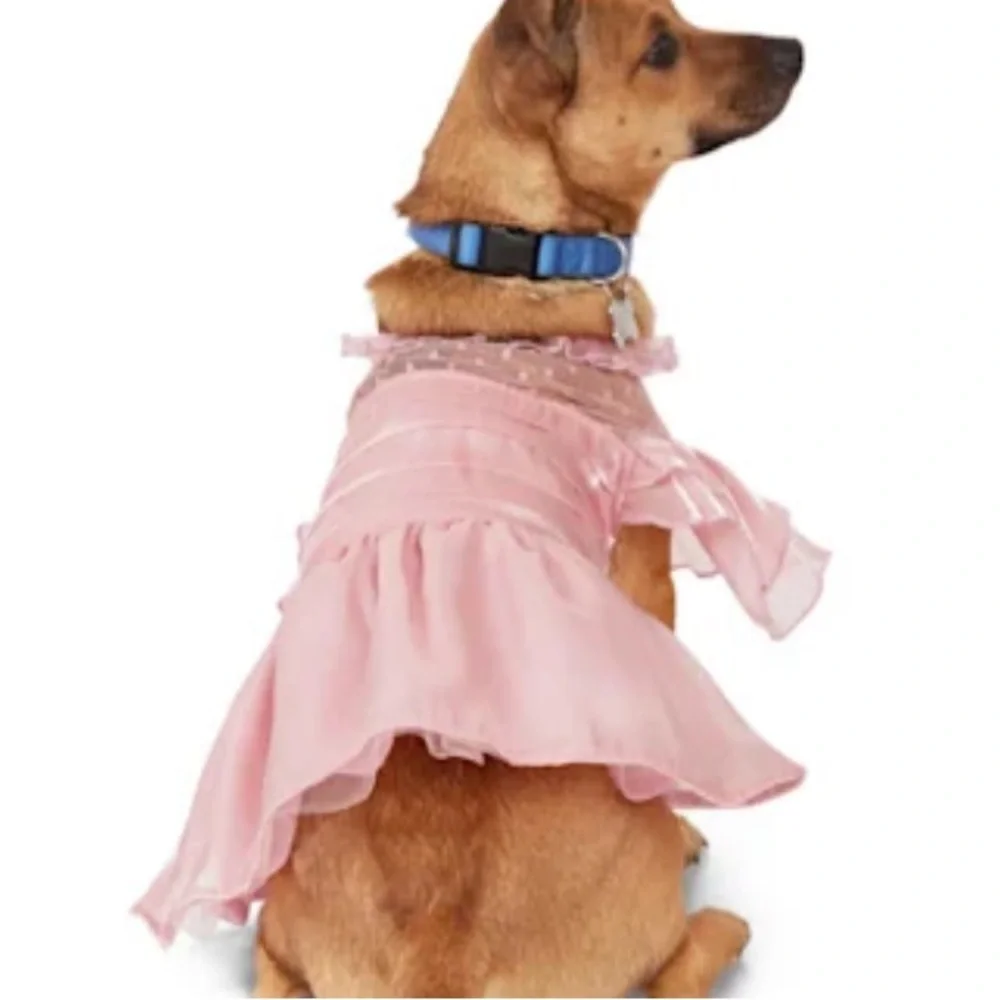NWT Youly ruffle ‘the Charmer’ dog dress S